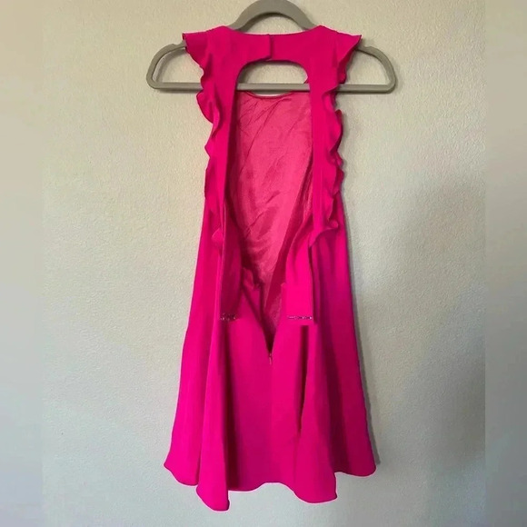 JayGodfrey Fuchsia Ruffle Fit & Flare Mini Dress Women’s Size 10 - Picture 6 of 16